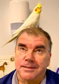 Peter Higgins