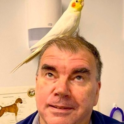 Peter Higgins